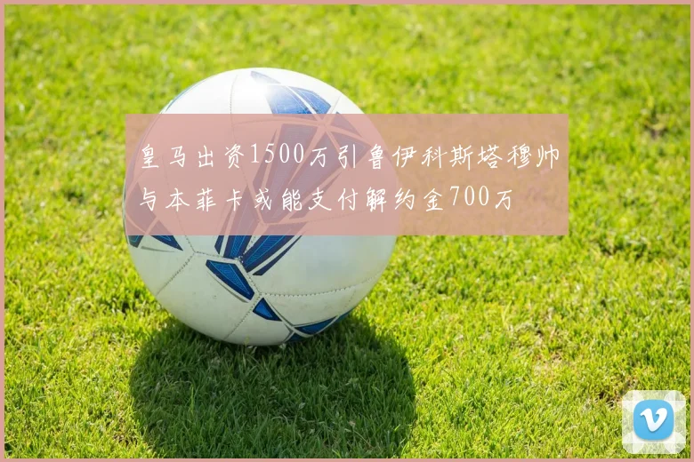 皇马出资1500万引鲁伊科斯塔穆帅与本菲卡或能支付解约金700万