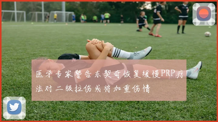 医学专家警告东契奇恢复缓慢PRP疗法对二级拉伤或将加重伤情