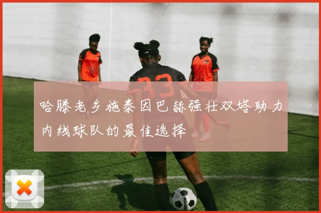 哈滕老乡施泰因巴赫强壮双塔助力内线球队的最佳选择