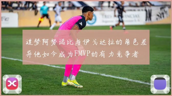 追梦阿努诺比与伊戈达拉的角色差异他如今成为FMVP的有力竞争者